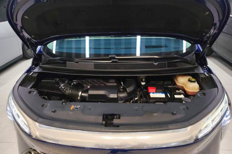 Used Buick Century 2023 2.0T Six-Seater Yinshi Edition
