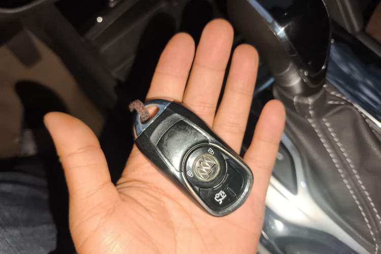 Used Buick Regal 2019 20T Elite Version China V Standard
